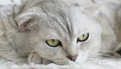 央视重磅播出,统一是不是快了?