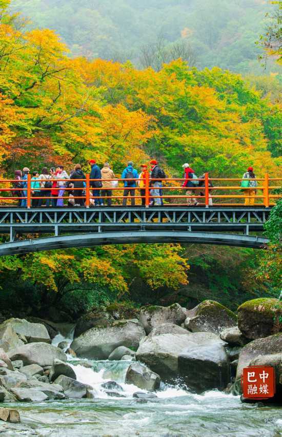 多图 | 红叶遍山野 赏秋正当时 光雾山红叶进入最佳观赏期