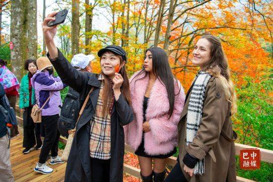 多图 | 红叶遍山野 赏秋正当时 光雾山红叶进入最佳观赏期