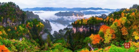 多图 | 红叶遍山野 赏秋正当时 光雾山红叶进入最佳观赏期