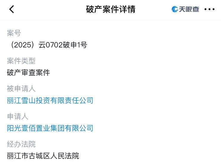 李亚鹏开发的雪山艺术小镇被申请破产，原股东股权价值将归零？