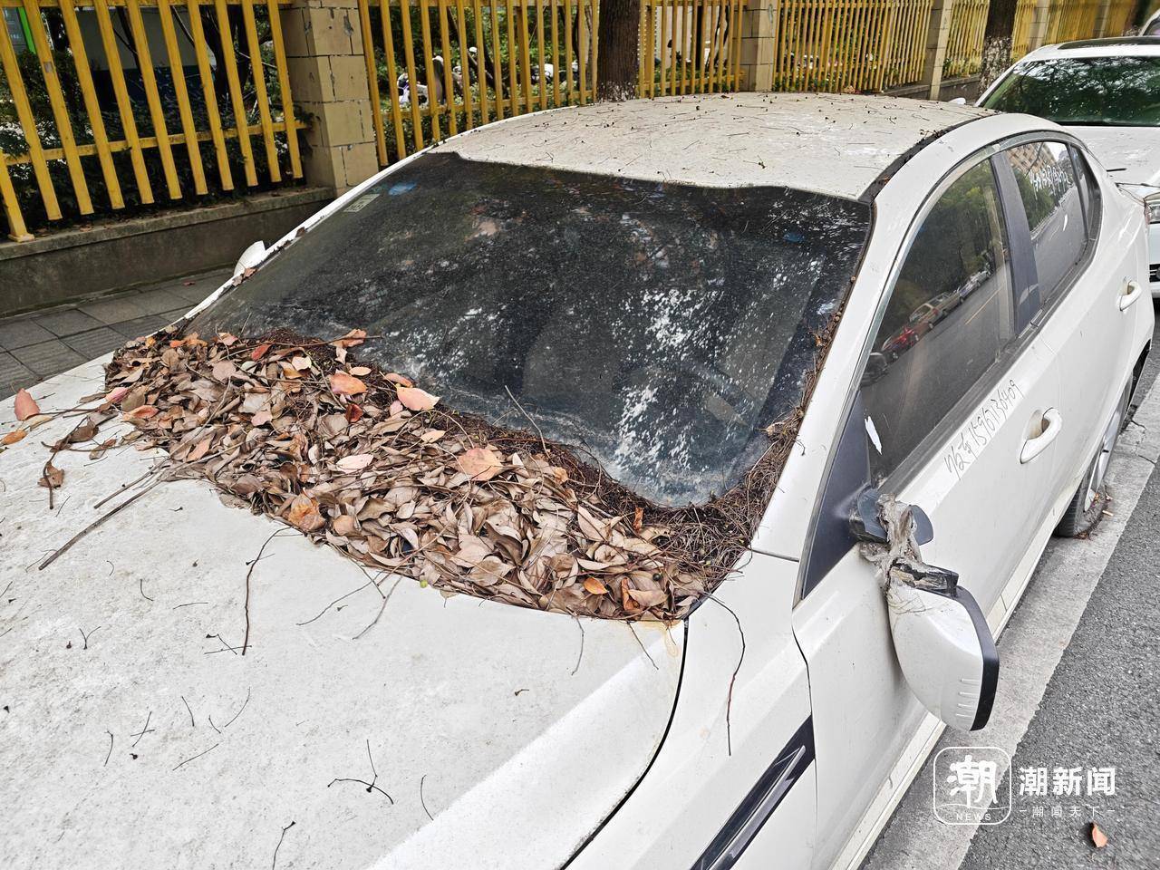 近三成疑似“僵尸车”，杭州这里的路边免费车位缘何成“停车场”