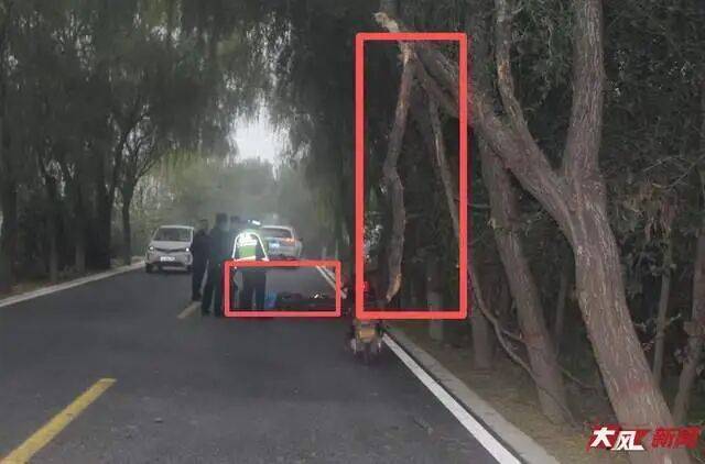 陕西兴平56岁女教师骑电动车“撞树枝”身亡，交警判定担主责，家属提出诸多质疑，多方回应