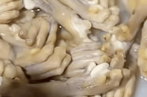 湖南一烧烤店直播煮动物爪子引争议，涉事商家回应