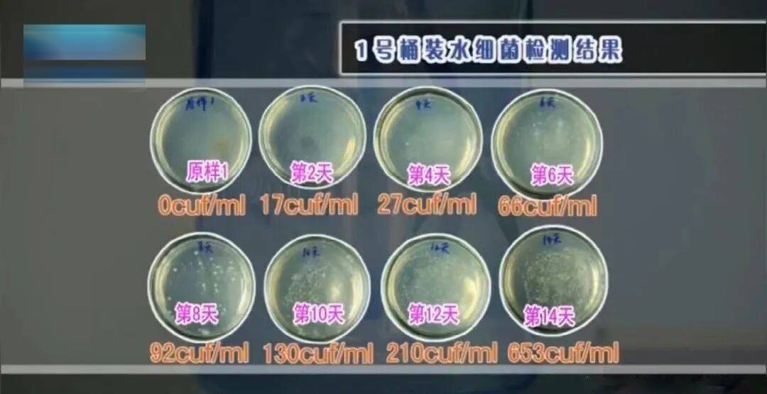 6种东西，没过保质期就“坏了”？赶紧看看，别拿全家健康开玩笑